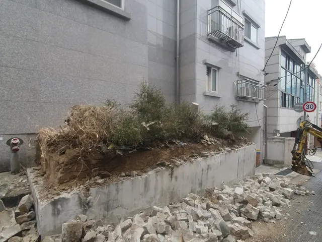 화단 담장 철거와 잔재 반출 작업 후