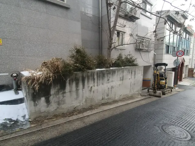 화단 담장 철거와 잔재 반출 작업 전