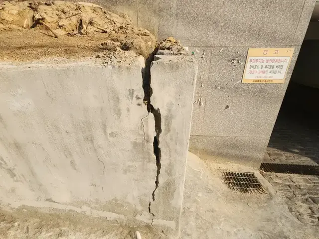 균열 옹벽 담장 철거와 잔재 정리 작업 전