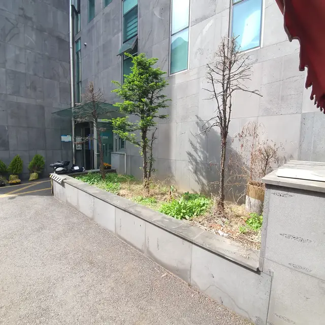 화단 조성 조경 작업 전