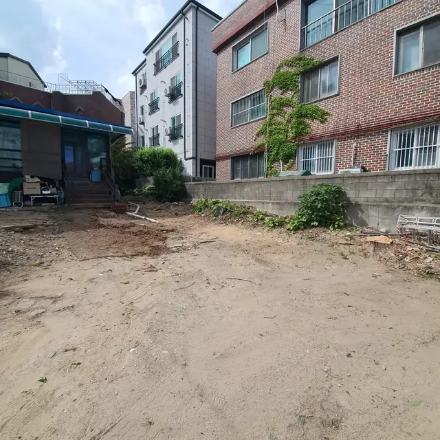 고목 제거 후 부지 정리 작업 후