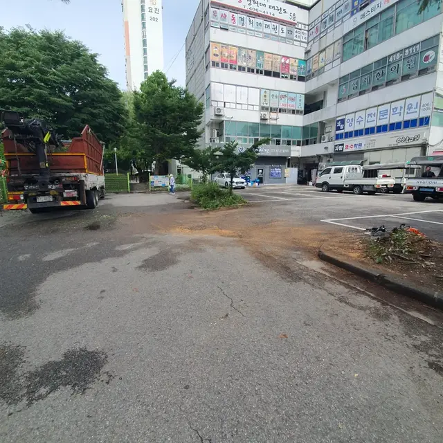 쓰러진 나무 제거와 도로 복구 작업 후