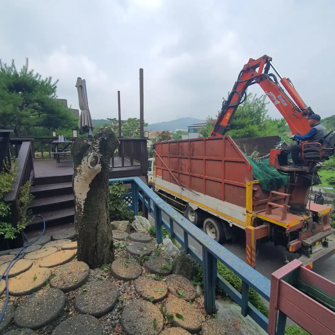 아파트 단지 수목 가지치기와 전지작업 현장