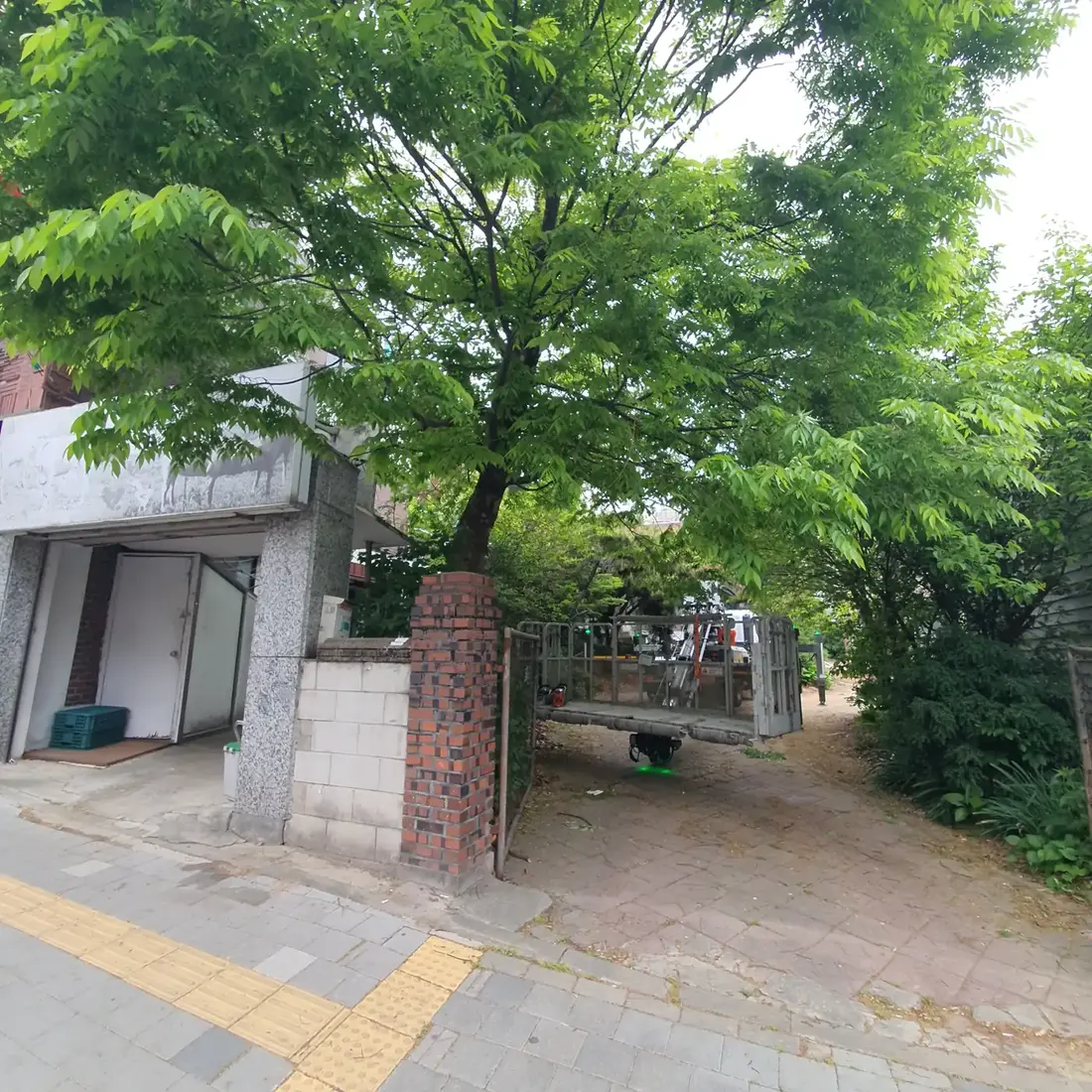 주택가 가로수와 정리된 보행로 조경 현장